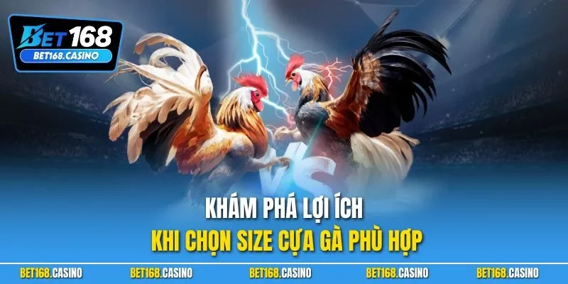Khám phá lợi ích khi chọn size cựa gà phù hợp